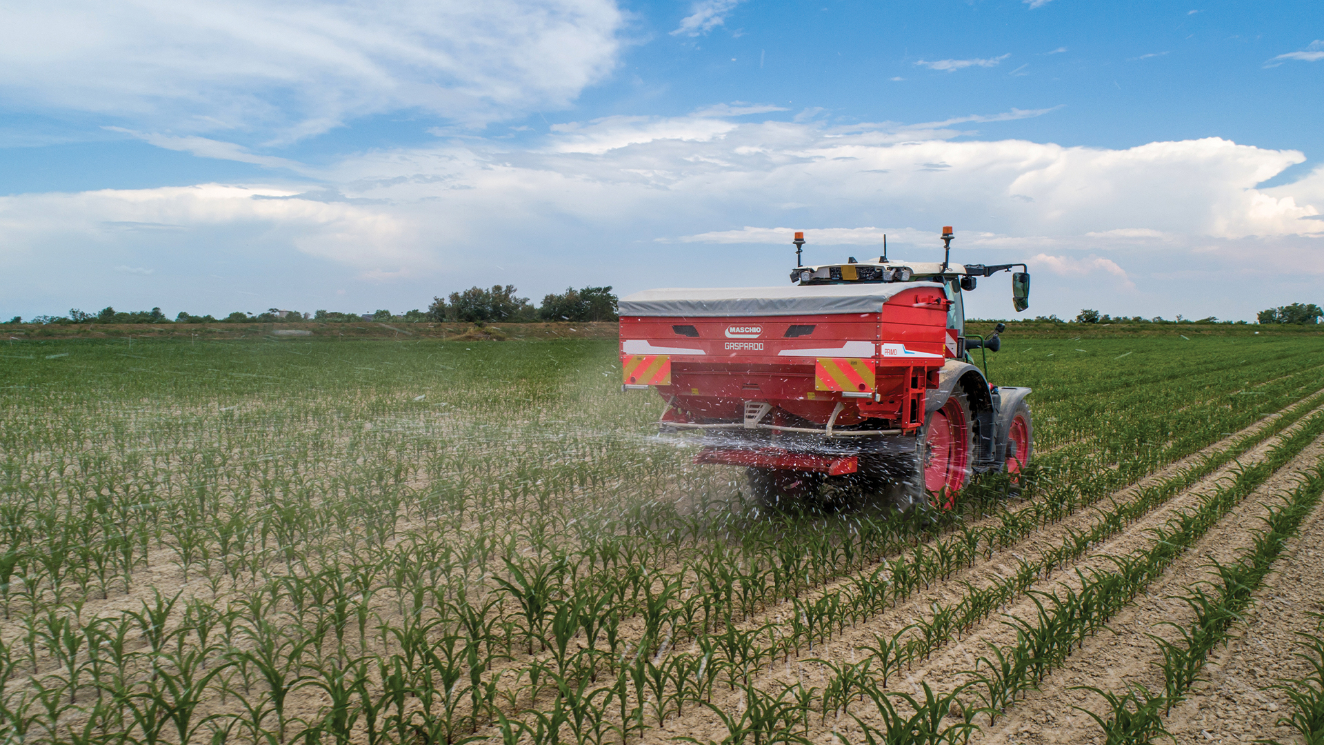 Offerta valida fino al 31 dicembre